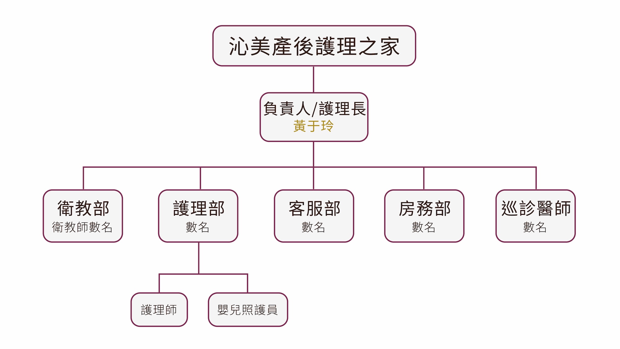 照護團隊組織圖
